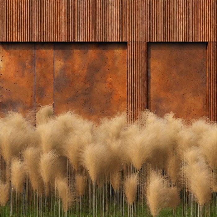 news-700-700 news-700-700